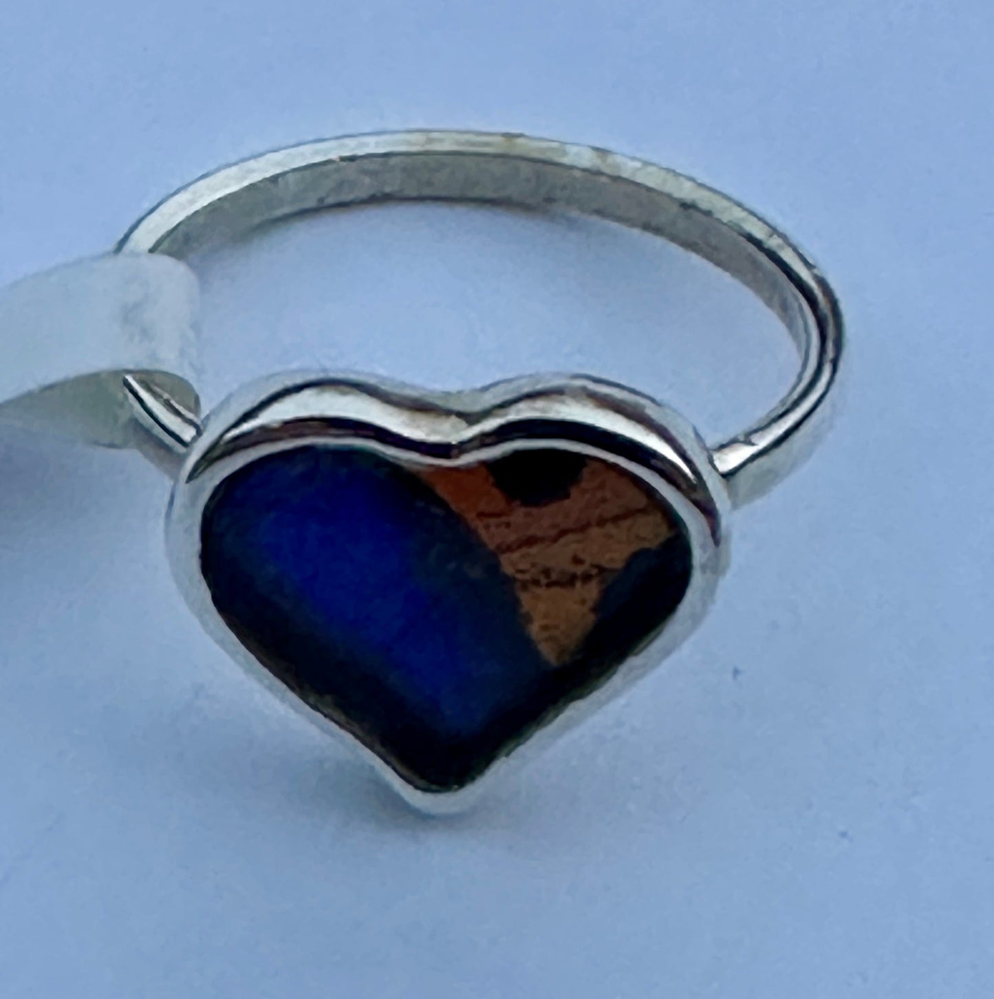 Morpho Ripheus Butterfly Sterling Silver Ring Size 7