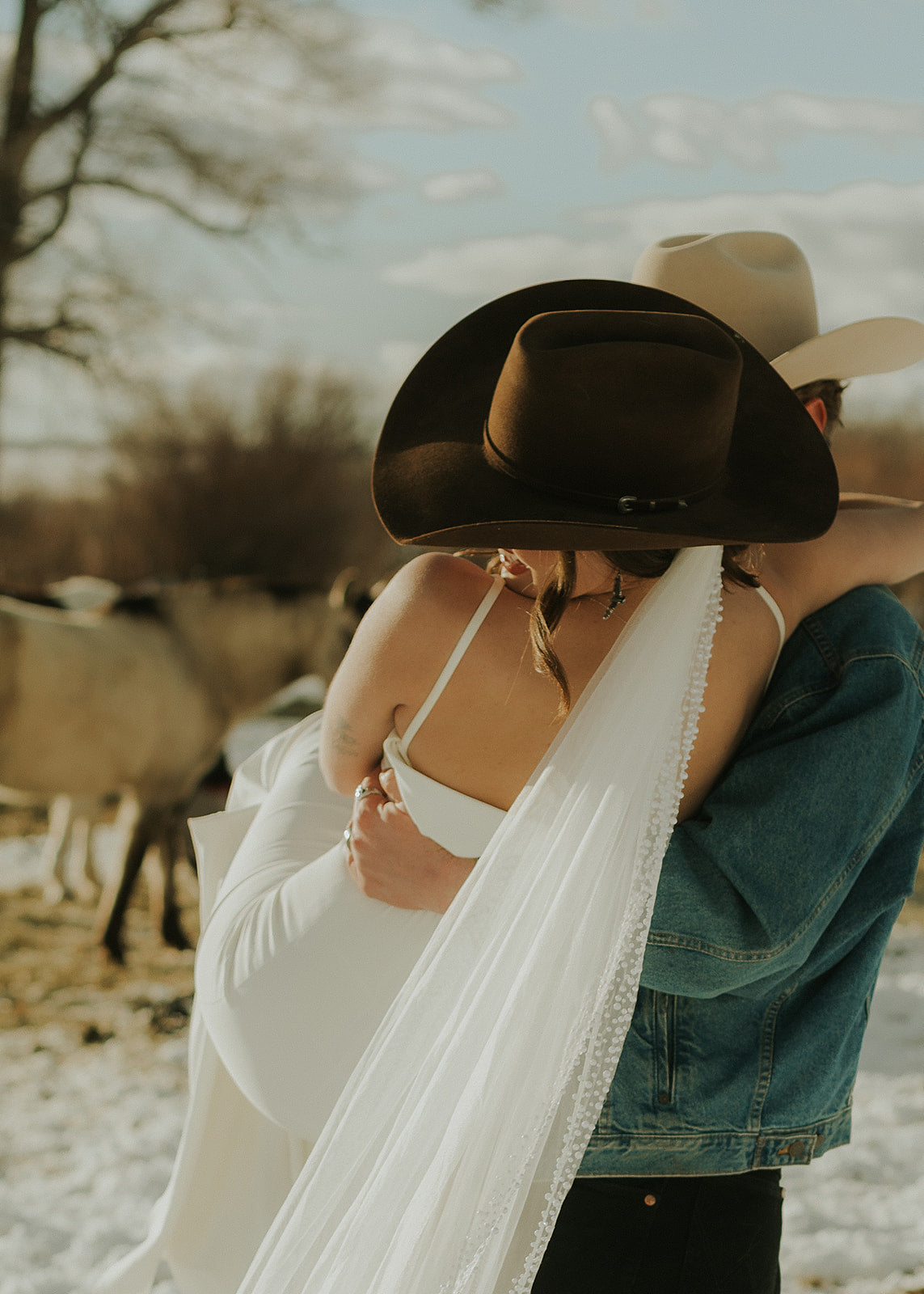 The Alice, Pearl and Beaded Wedding Veil
