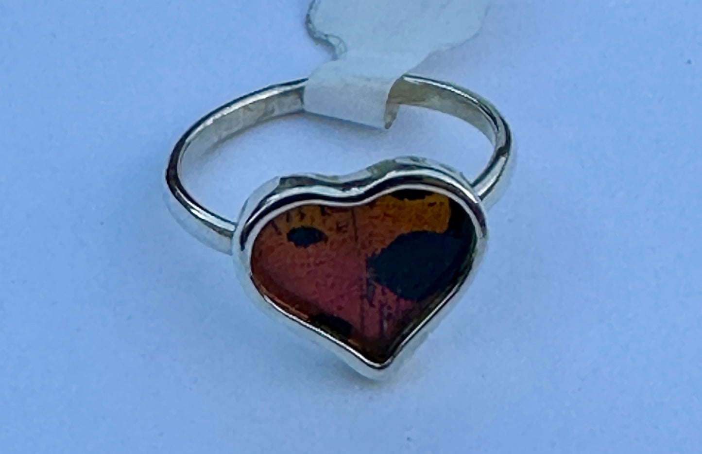 Urania Ripheus Butterfly Sterling Silver Ring Size 7