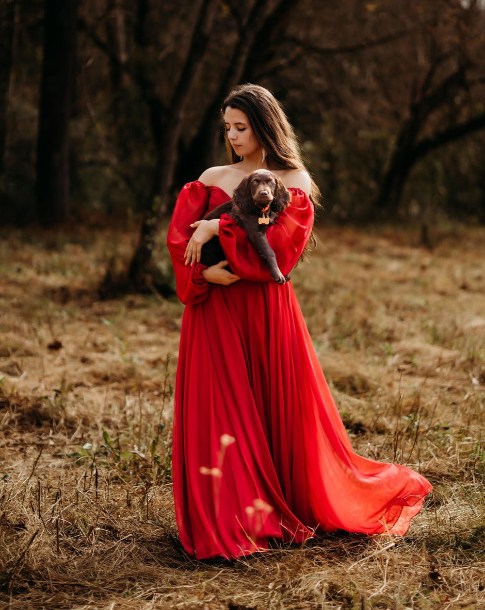 The Charleston Multicolor