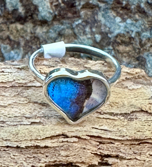 Morpho Sulkowski Butterfly Sterling Silver Ring Size 7