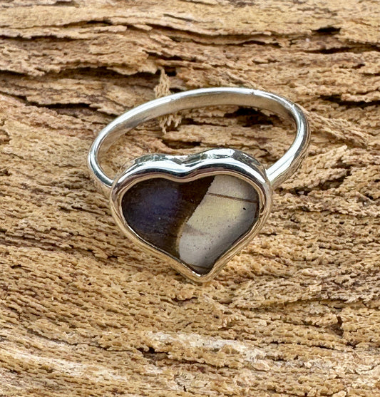 Morpho Sulkowski Butterfly Sterling Silver Ring Size 8
