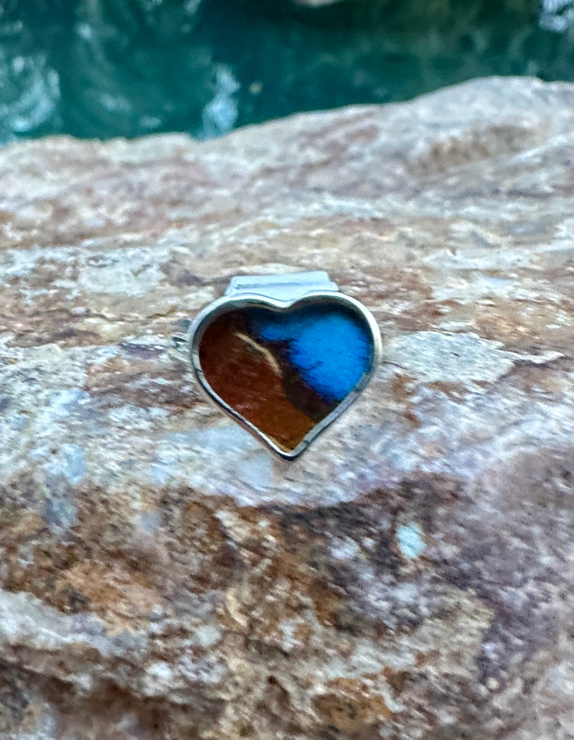 Morpho Ripheus Butterfly Sterling Silver Ring Size 5