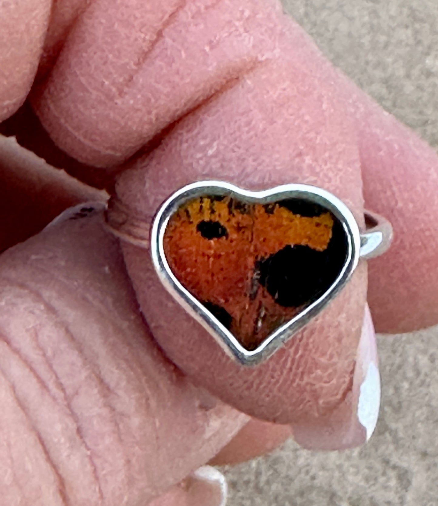 Urania Ripheus Butterfly Sterling Silver Ring Size 7