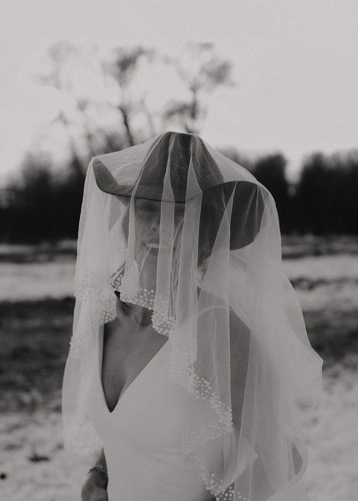 The Alice, Pearl and Beaded Wedding Veil