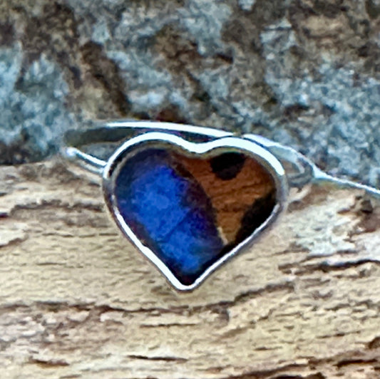 Morpho Ripheus Butterfly Sterling Silver Ring Size 7