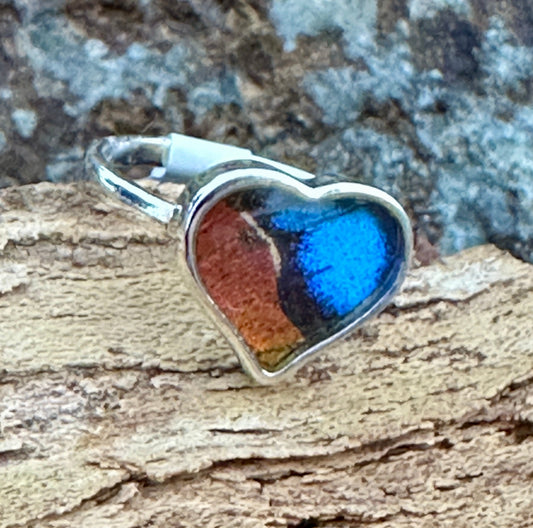 Morpho Ripheus Butterfly Sterling Silver Ring Size 5