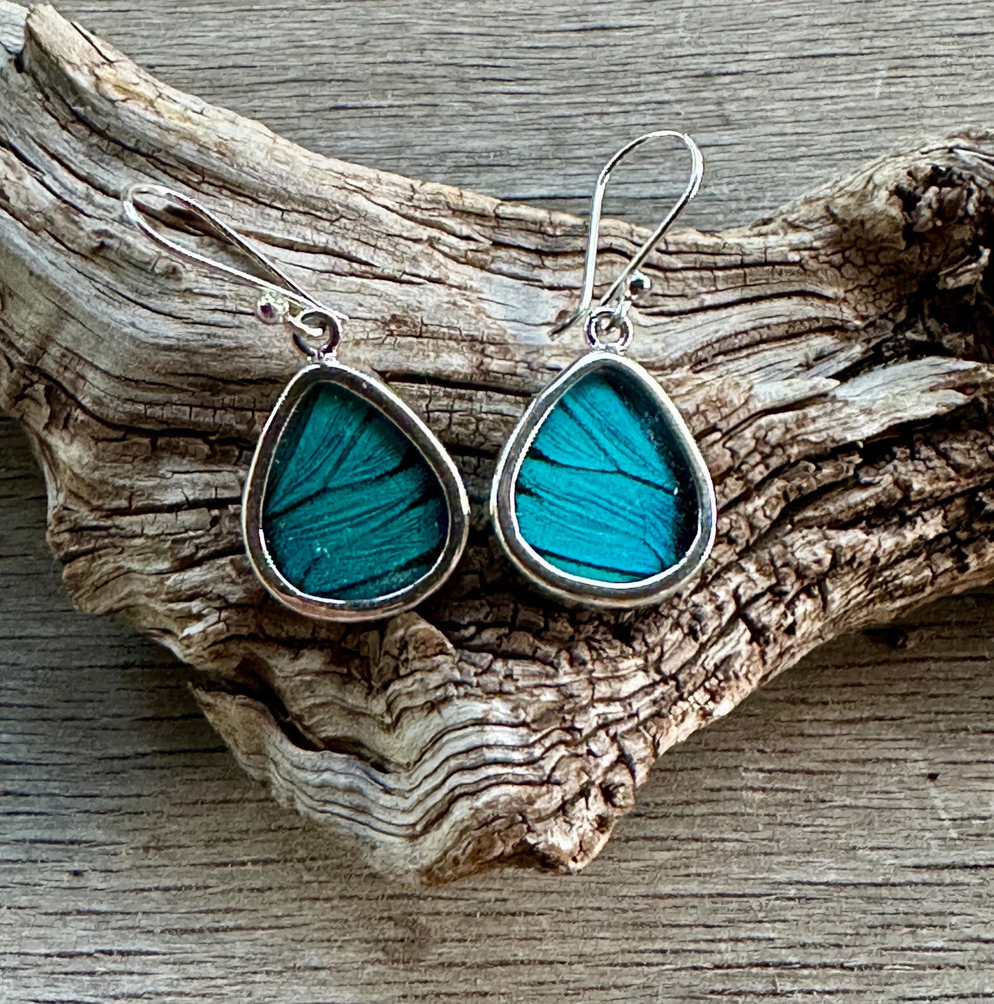 Prepona Blue Butterfly Dangle Sterling Silver Earrings