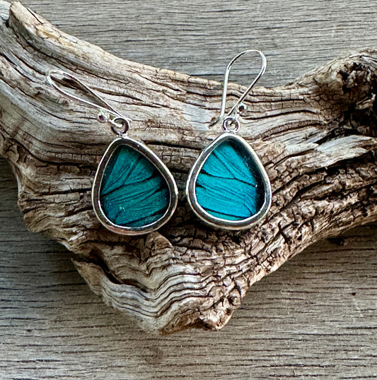Prepona Blue Butterfly Dangle Sterling Silver Earrings