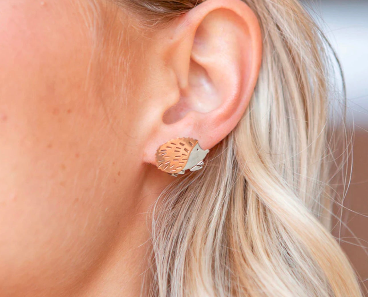 Copper & Sterling Silver Hedgehog Earrings on Post