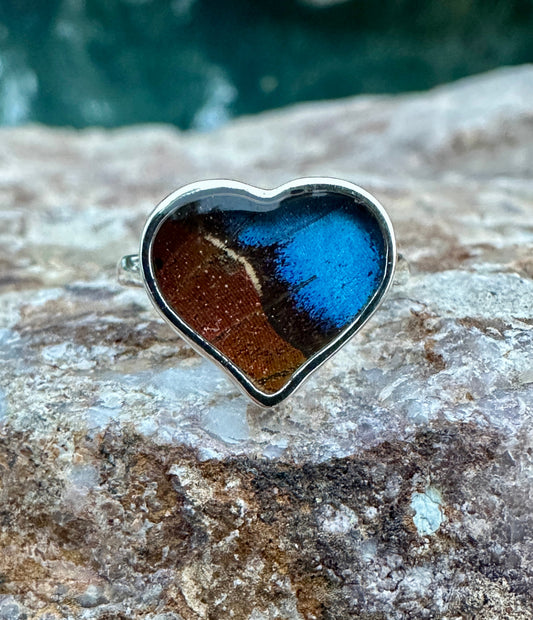 Morpho Ripheus Butterfly Sterling Silver Ring Size 5