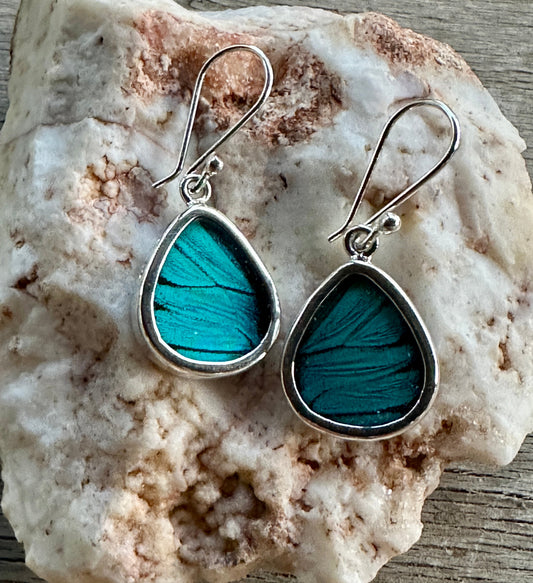 Prepona Blue Butterfly Dangle Sterling Silver Earrings