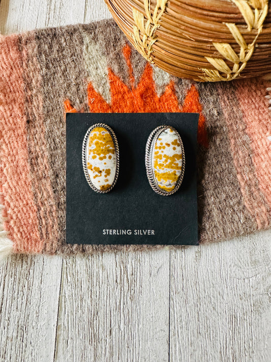 Navajo Jasper Sterling Silver Post Earrings Signed
