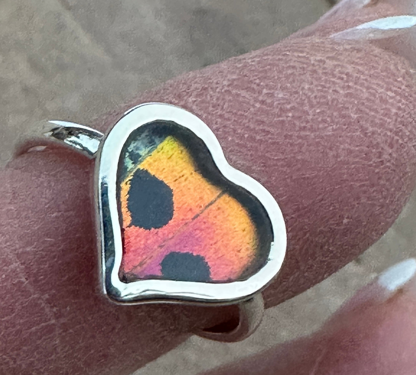 Urania Ripheus Butterfly Sterling Silver Ring Size 8