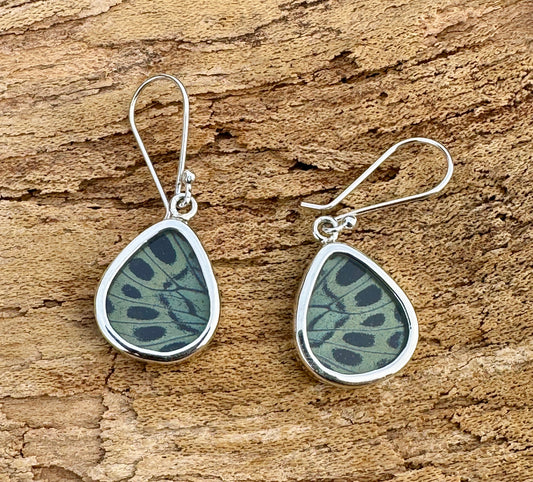 Malachite Butterfly Dangle Sterling Silver Earrings