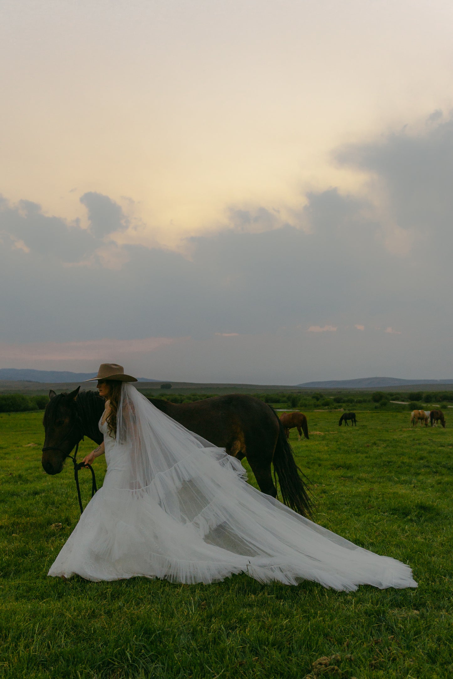 Beverly Ruffle Wedding Veil