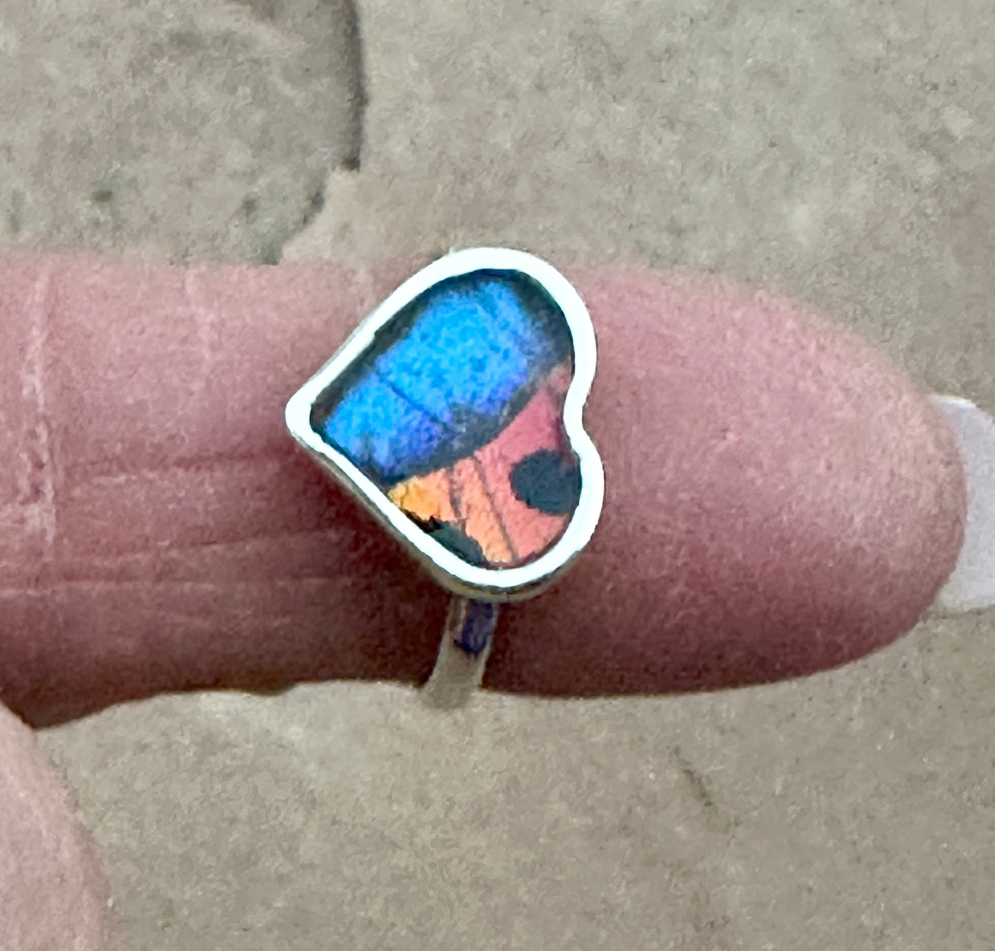 Morpho Ripheus Butterfly Sterling Silver Ring Size 7