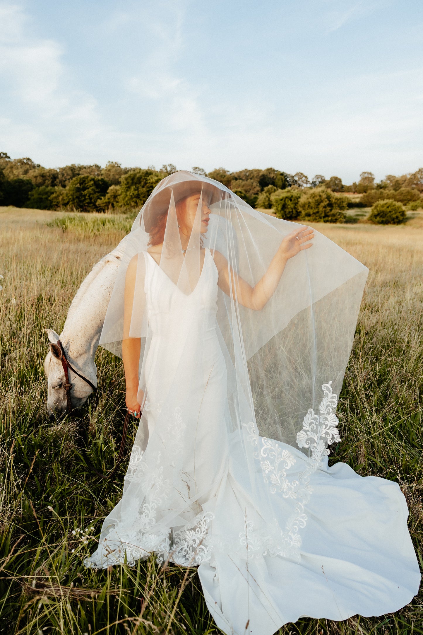 Ready to Ship Lace Cathedral Veil