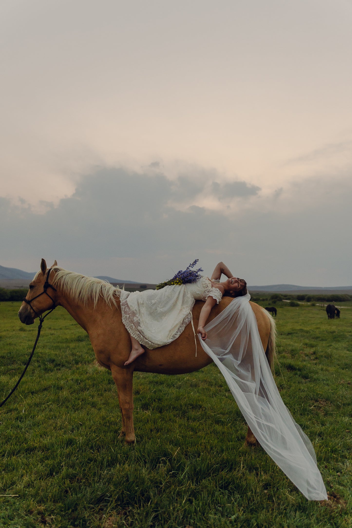Classic Veil