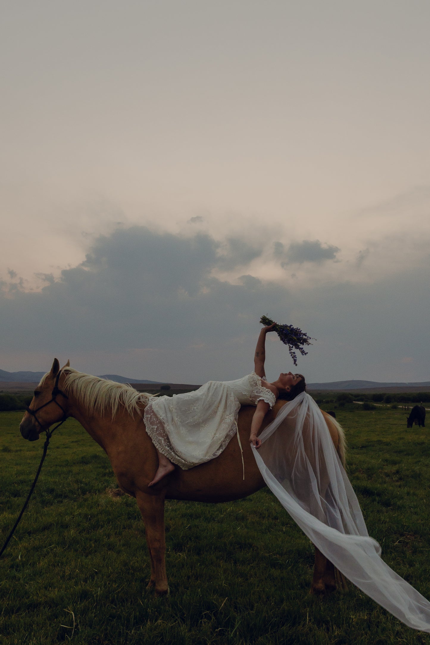 Classic Veil