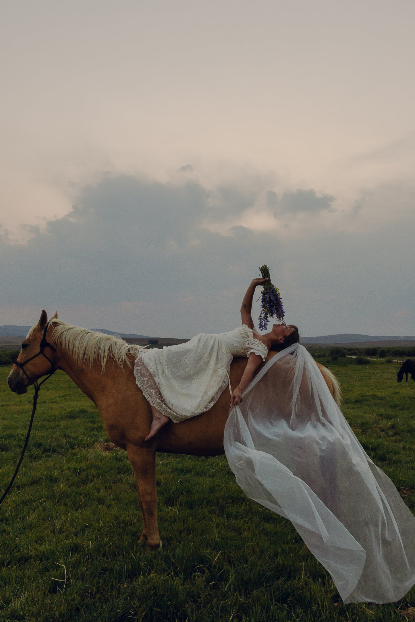 Classic Veil