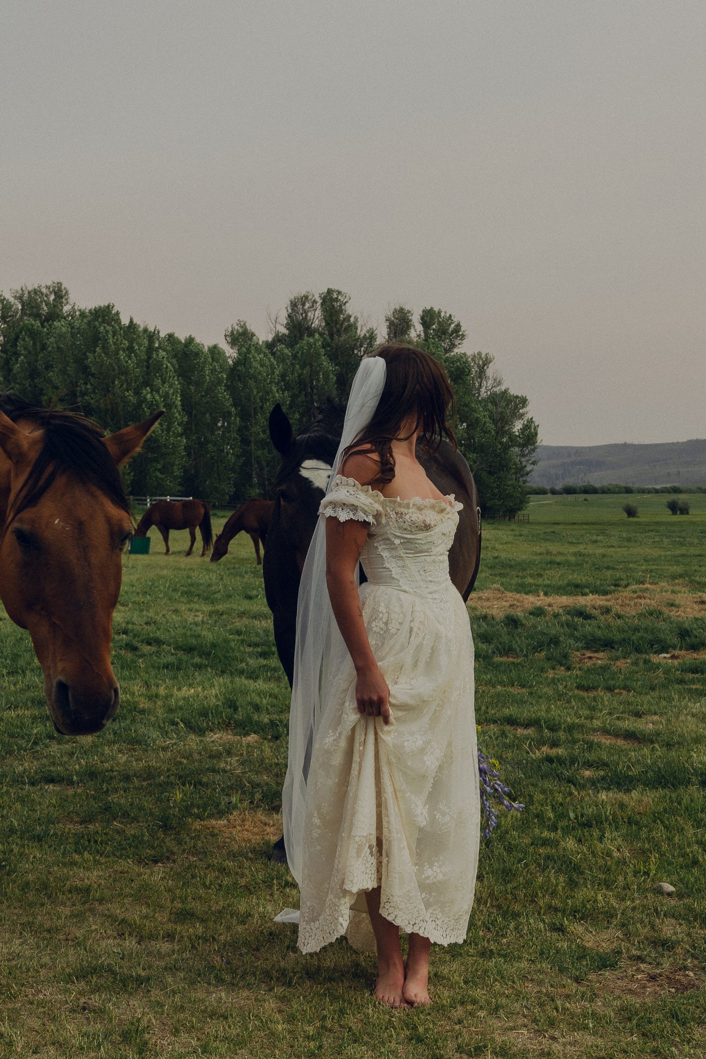 Classic Veil