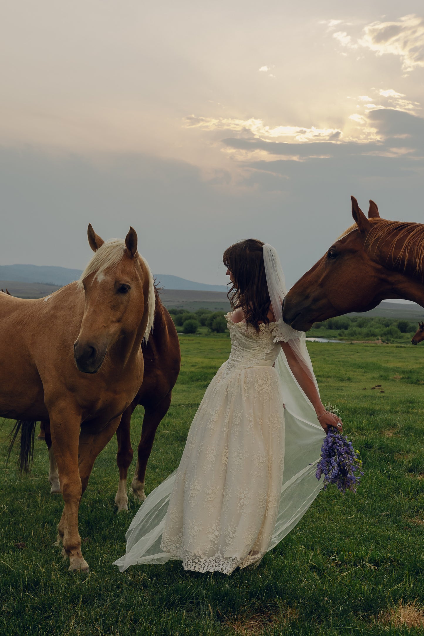 Classic Veil
