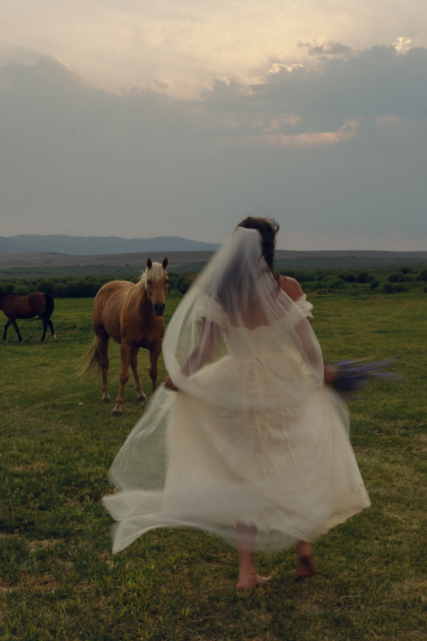 Classic Veil