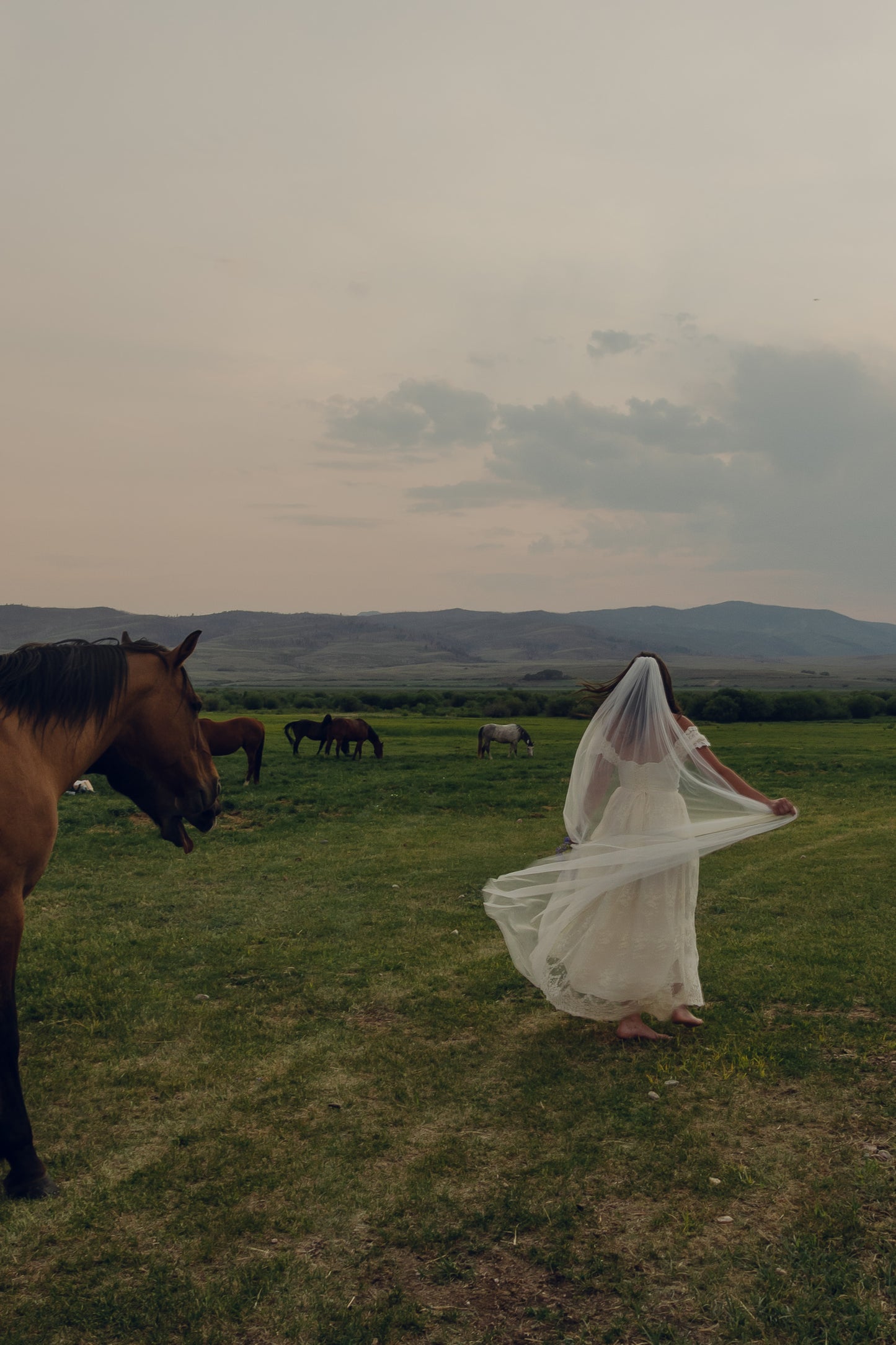 Classic Veil