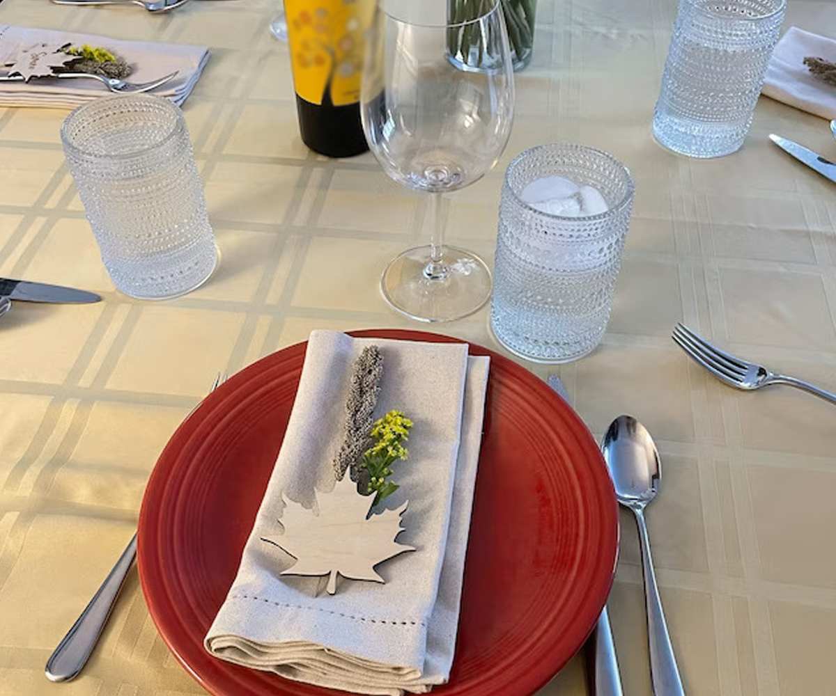 Hemstitch Napkins - Table Napkins - Cotton Cloth Napkins