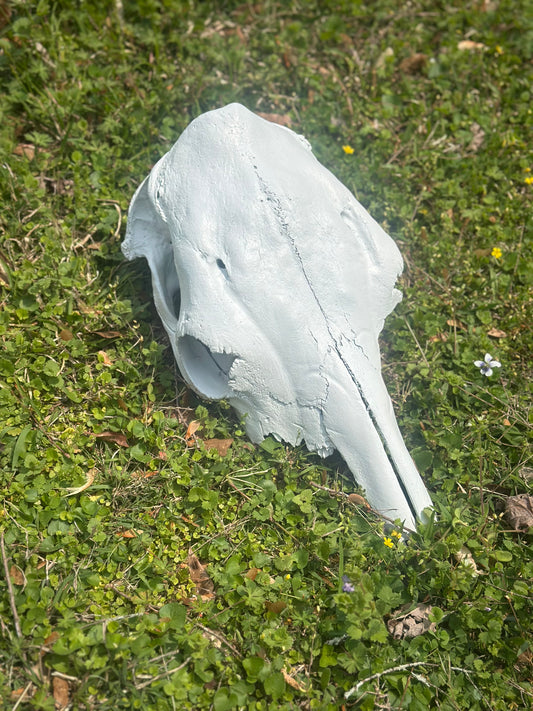 Cow Skull for Wedding Decor or Guestbook