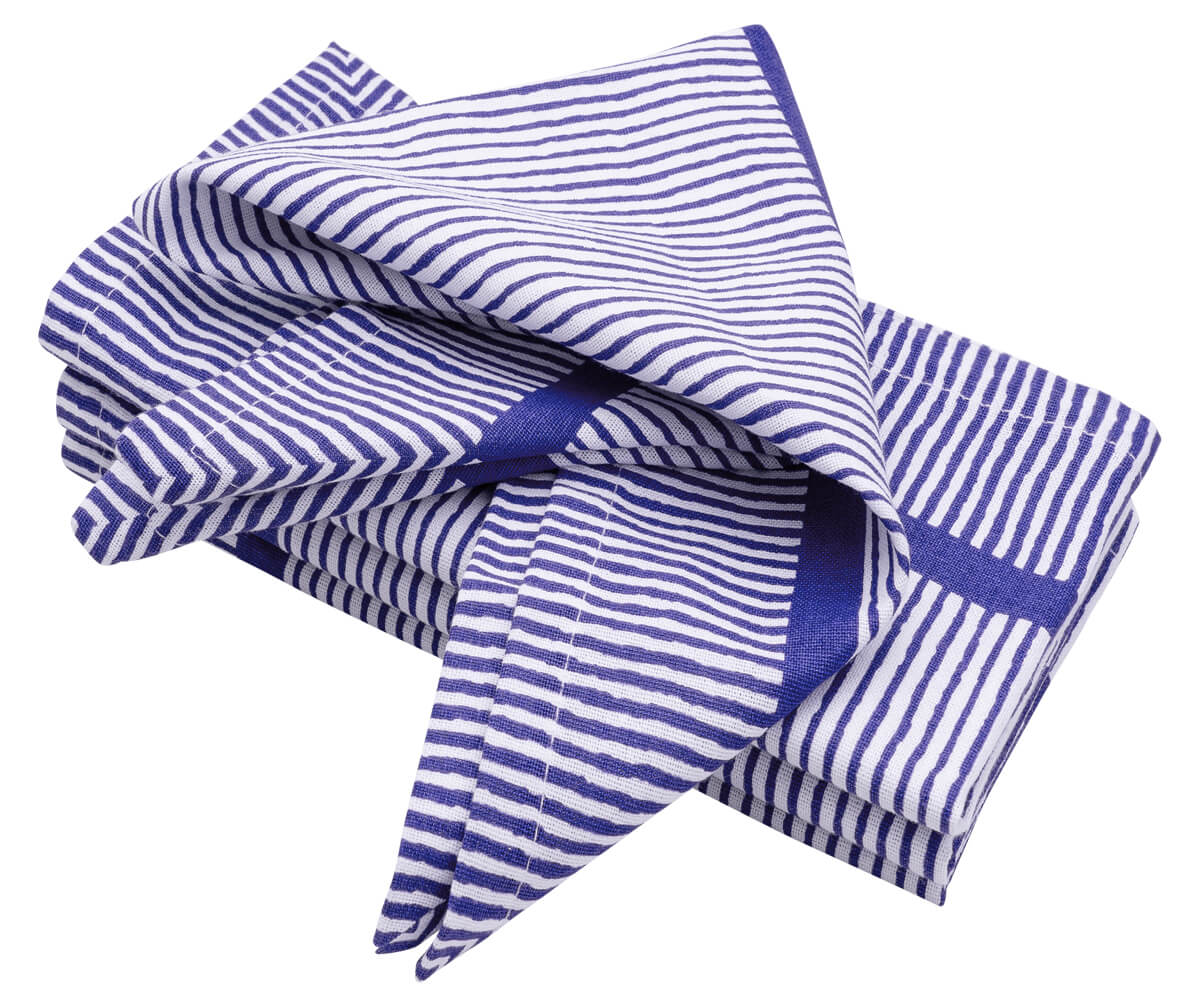 Blue Cloth Napkins Set of 4