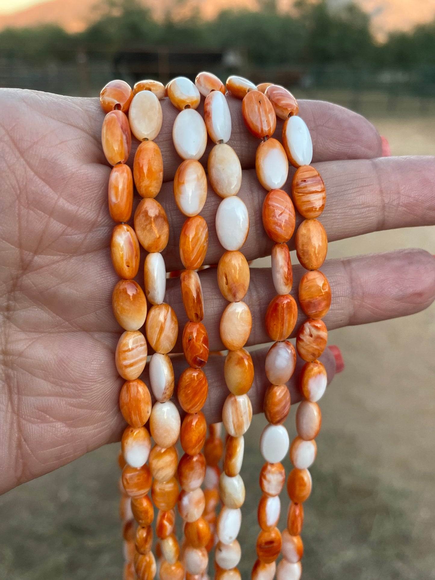 Handcrafted Spiny & Sterling Silver 16 inch Beaded Necklace