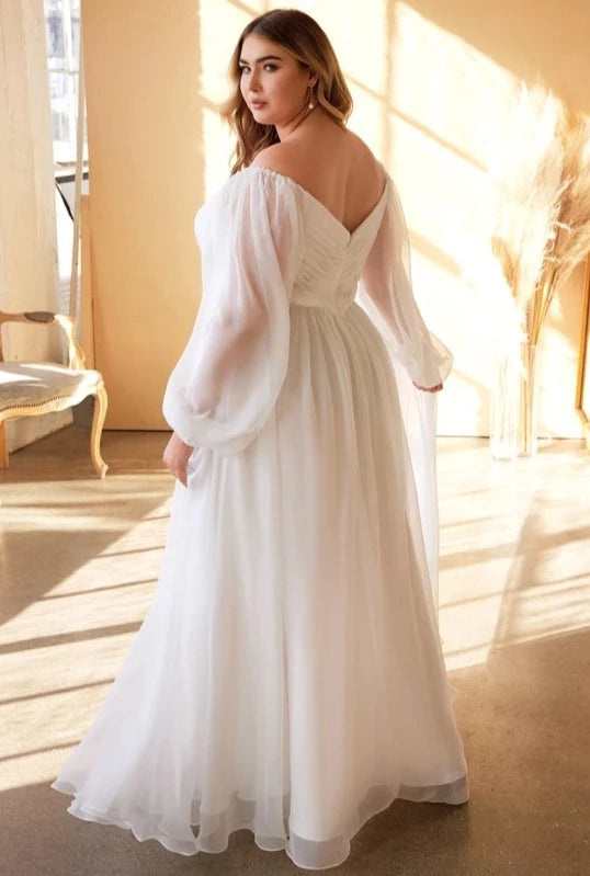 The Charleston Gown