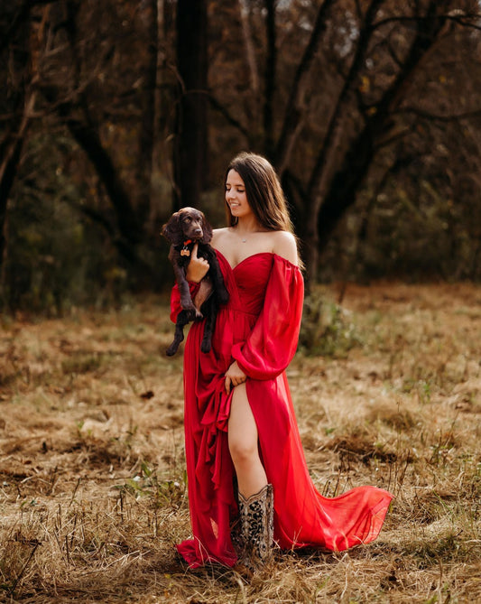 The Charleston Multicolor